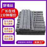 建筑对拉螺杆穿墙丝止水丝杆螺杆 建筑配件通丝螺杆 建筑梯形丝杆