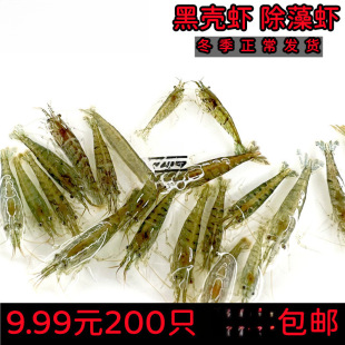 �ښ��r�����r�r���^�p�r�坍�r��ˮ�r�ѻ��r���r�ͻ���ˮ�r