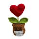 Handmand Emotionlal Support Plant Gift Hand Woven Positive Plant Potted