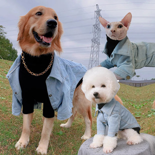 �羳���������·��ﶬ�͹ł��Դ���С��Ȯ�oë؈��ţ�ЊA��