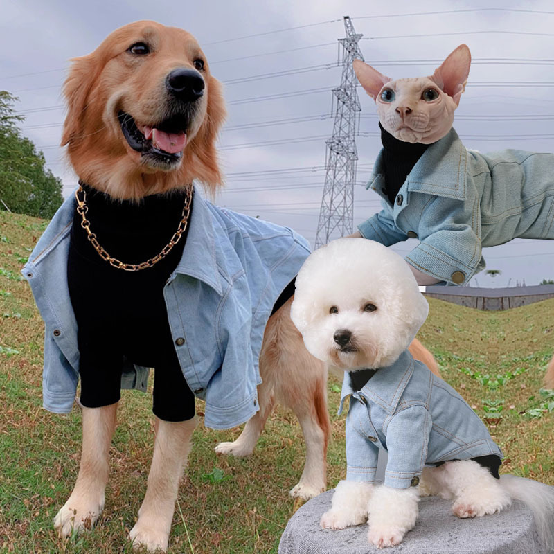 Cross-border Pet Clothing Dog Clothes Autumn and Winter Vintage Personalized Large, Medium and Small Dog Hair-less Cat Denim Jacket