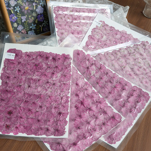 �ѻ��ɻ�Ѻ����ֲ��˱� ���z������ ��޹Ϟ�TDIY�ֹ� ���u�羳