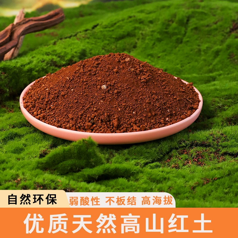 Красная глина Рододендрон культивируется субстрат суккуленты для пересадки рассады специальная питательная почва дышащая и увлажняющая альпийская красная глина