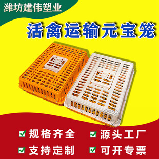 Sliding door plastic chicken cage duck cage turnover box drop-resistant heightening adult chicken duck plastic chicken cage transport team