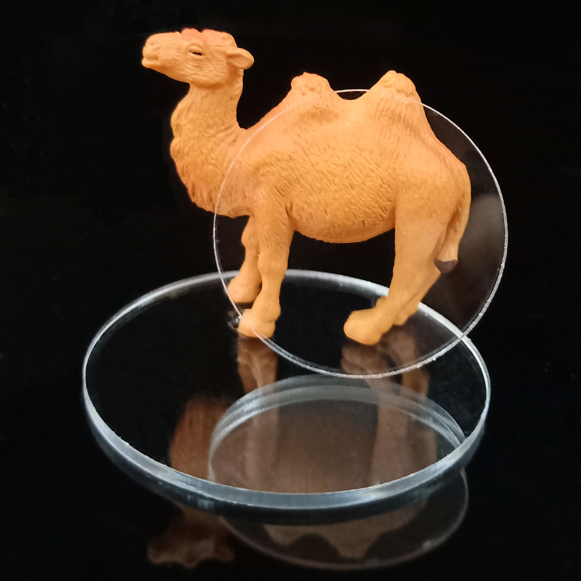 En stock micro paisaje base 2,5-5cm negro de dibujos animados base transparente decoración del coche base de acrílico