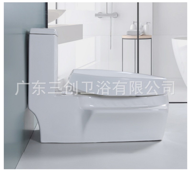 蹲坐两用马桶9001S-详情页 (21).jpg