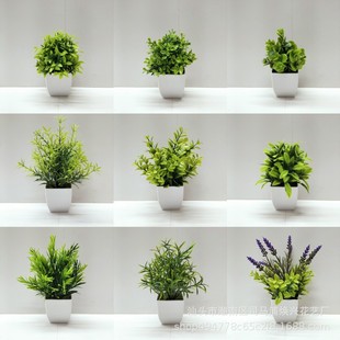 Cross-border Hot Sale Simulation Plant Fake Plant Potted Plant Green Plant Indoor and Outdoor Decoration Plastic Potted Eucalyptus Small Potted Plant