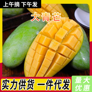 越南进口大青芒 7月当季新鲜水果整箱批发