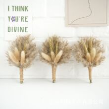 �����ׁ��L�ɻ���ʿ��Y����ɻ������ڴ��������ɻ�Y܇�d����