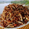 wholesale Shandong Yimeng specialty wild Fried Crab Delicious Snacks Crispy Crab spicy Crab Yummy