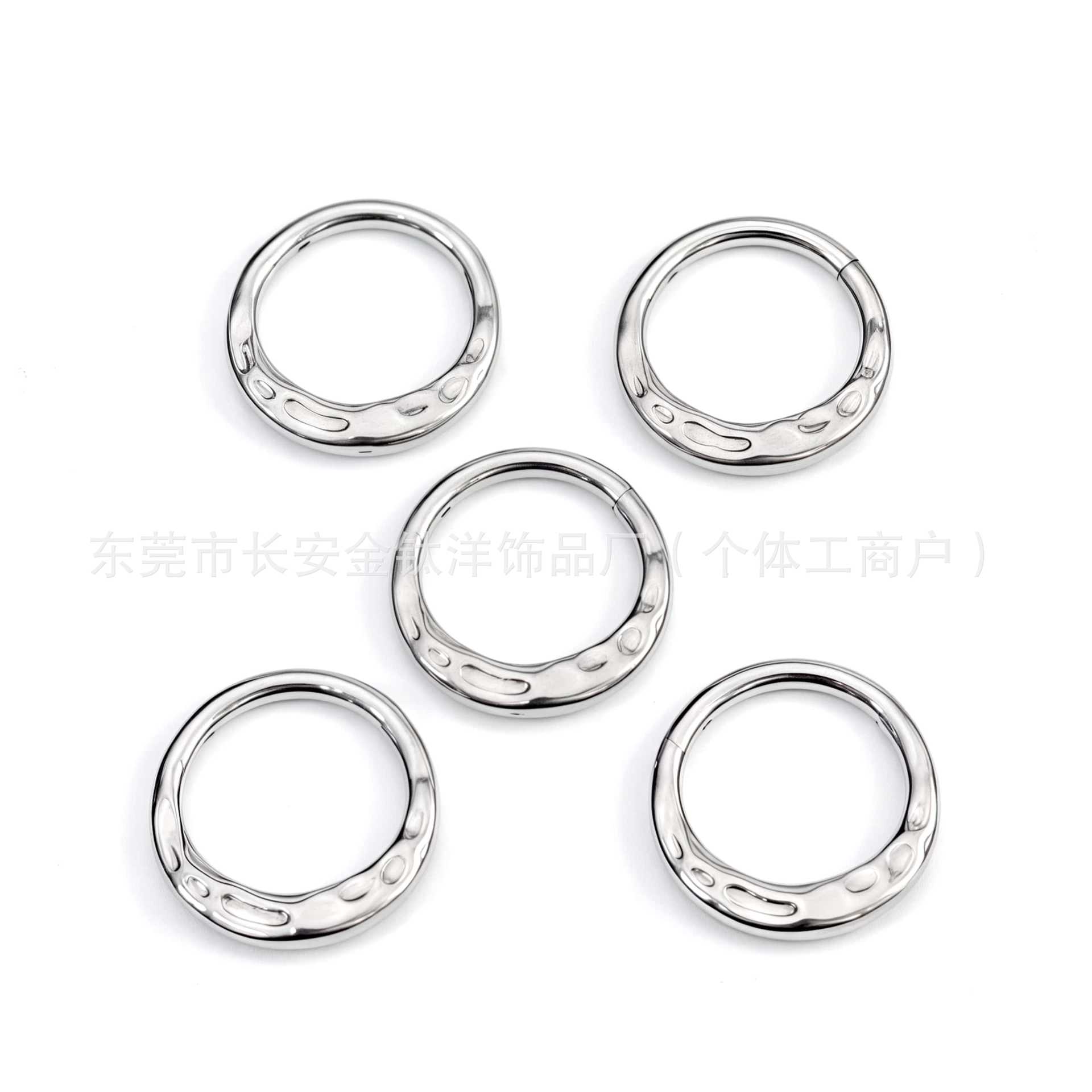 G23 Titanium Embossed Edge Closed Ring Pinless Hoop Earrings Nose Ring Seamless Ring Body Piercing Jewelry detail image 8
