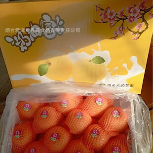 ɽ�|��̨���͸�ʿ�O���Y������w��̨�S�������O���S�����lˮ���Y