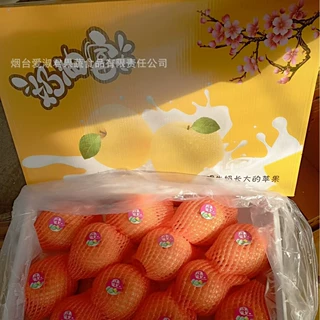 山东烟台奶油富士苹果礼盒天地盖烟台黄金奶油苹果厂家批发水果礼