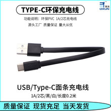 1A20cmTYPE-C��l��늾�������TYPE-C��l��늱⾀0.2��C����l��