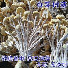 ��؛��ɫ��乽��؛�o���_�����r��ʳ�����ڽ�����н�����500g