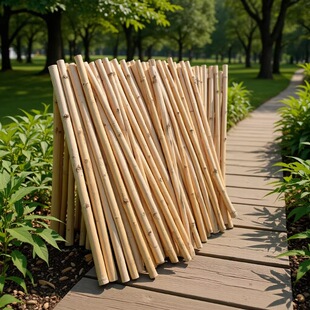 �������ľ�A����ľɼľ��ľ�Aľ̼�����ӈAľ�����ľ���z����