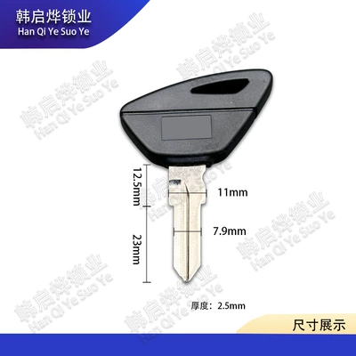 Suitable for Aprilia Motorcycle Key