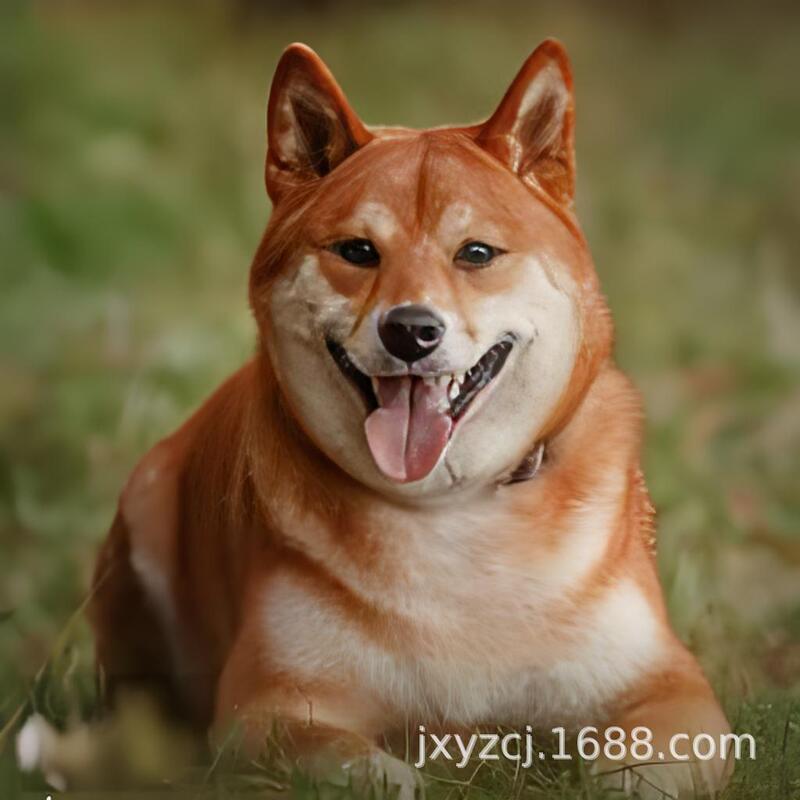 Purebred Five-Red Dog Live Puppy, Double-Bloodline Five-Red Farm Dog, Pet Dog, Medium-Sized Dog, Guard Dog, Puppy