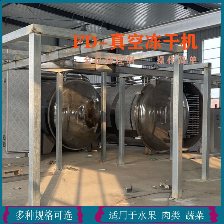 大肉馅水饺真空冻干机西蓝花冻干设备胡萝卜甜橙冻干机厂家供应