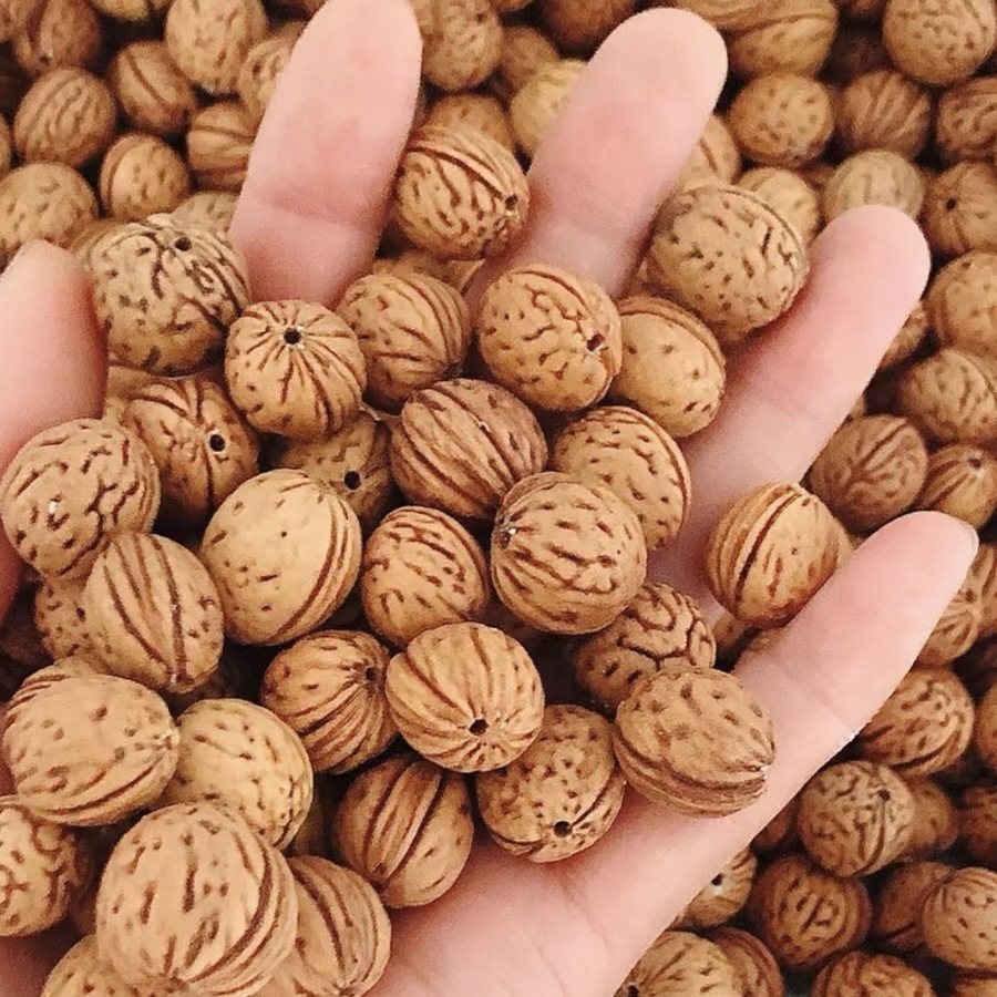 微信图片_20240601235908