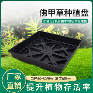 �G���Nֲ�������P��ײݷNֲ�P����߲˷Nֲ�跽�P�L���P����P