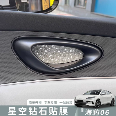Car interior film: BYD 06DMI Steering
