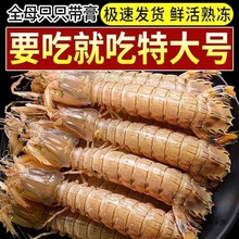 ƤƤ�r�r�������ك�����r�ø��F�r���r������ɽ�����r���rˮ�a