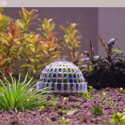 Meyi transparente fregadero Bola de agua Bola de musgo Mo Bola de seda ornamental Camarón casa evitar la cría que contiene bola mineral