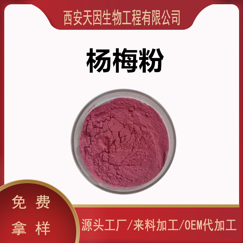 杨梅粉 杨梅果粉 杨梅浓缩汁粉 杨梅果汁粉 杨梅汁粉 厂家现货