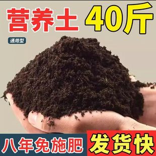 �I�B��40����ͨ�����ЙC�Nֲ������ͥ�B���N����������˼����