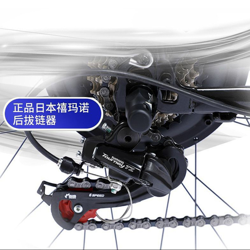 Flying Pigeon bicicleta eléctrica batería de litio nuevo coche de batería estándar nacional Vehículo de viaje de 24 pulgadas coche eléctrico nuevo funcionamiento de larga distancia con personas