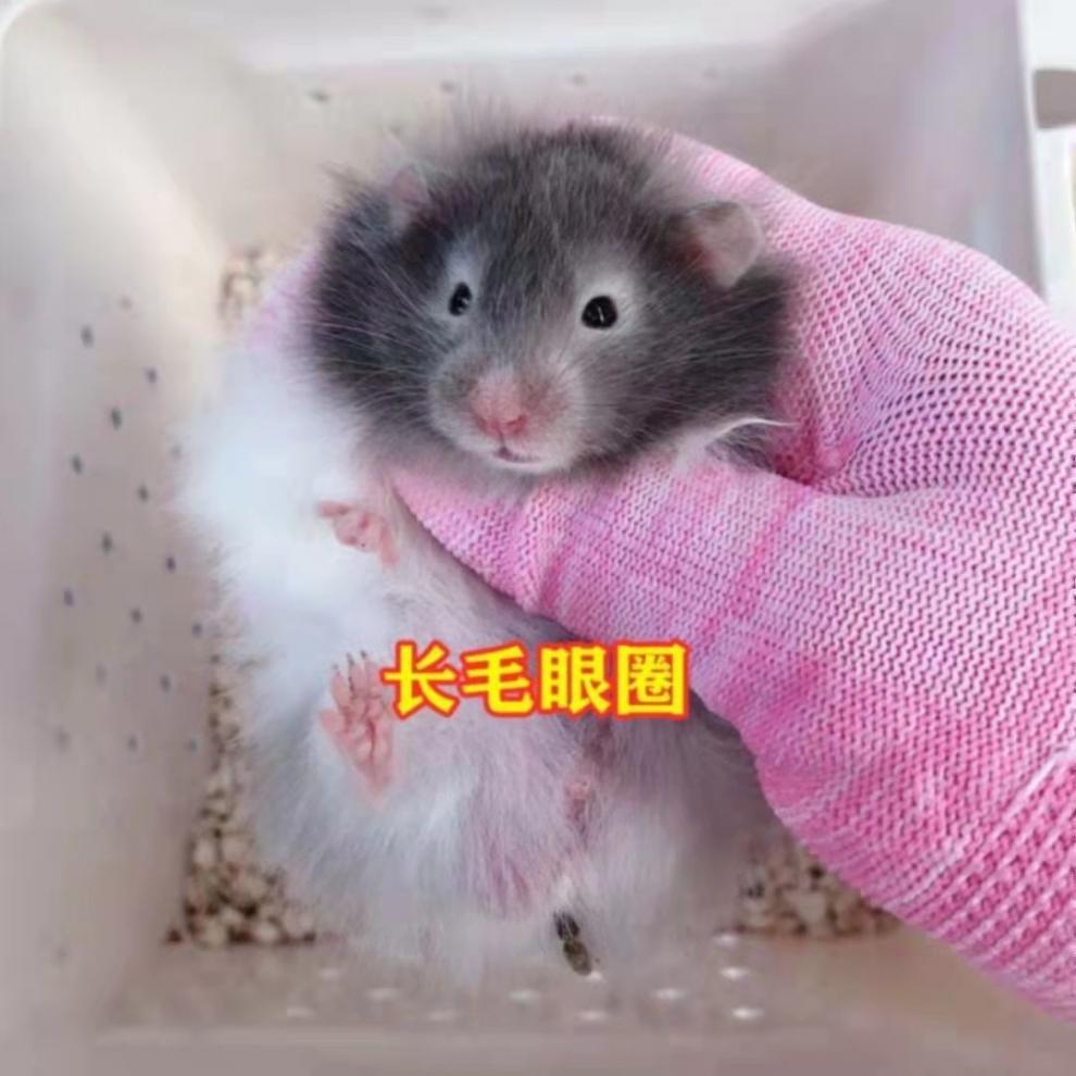 d1e83b6a-c0cf-4e89-ac18-1679a0e485e0.jpe