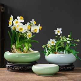 水仙花专用水培花盆客厅盆栽家用陶瓷大口径水养桌面植物花盆无孔