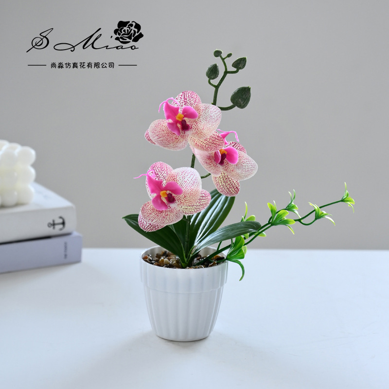 Simulación de flores pequeñas cuatro flores orquídeas mariposa fábrica de bonsai directamente para flores artificiales adornos de decoración interior flores de seda imitación en maceta image 14