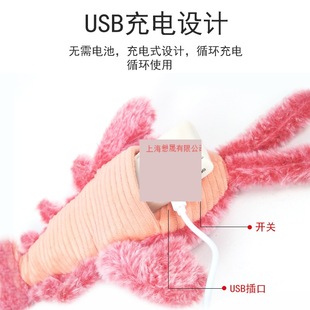 ���������ı�������˯��ƨ��С���r��ߕ��ӵēu�[�~늄������r