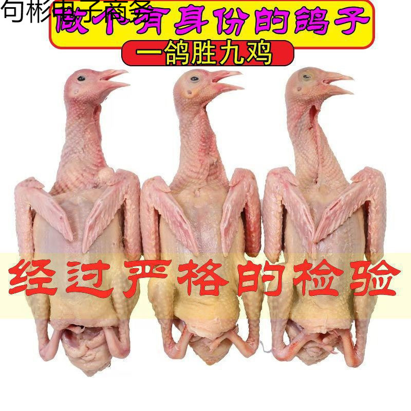 Pigeon Meat Fresh Vacuum-Packed Free Shipping Factory Direct Delivery One Piece Free Shipping Pigeon Meat Fresh Vacuum-Packed Free Shipping Factory Direct Delivery One Piece Free Shipping
