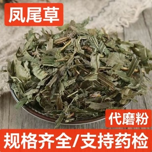 Pβ șl u u_ P˲ Ƀos  нӆ