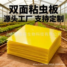 �羳�S���p��ճ�x����@��ɽ��U�E�R��ω�T��������ճ�x�����T�x