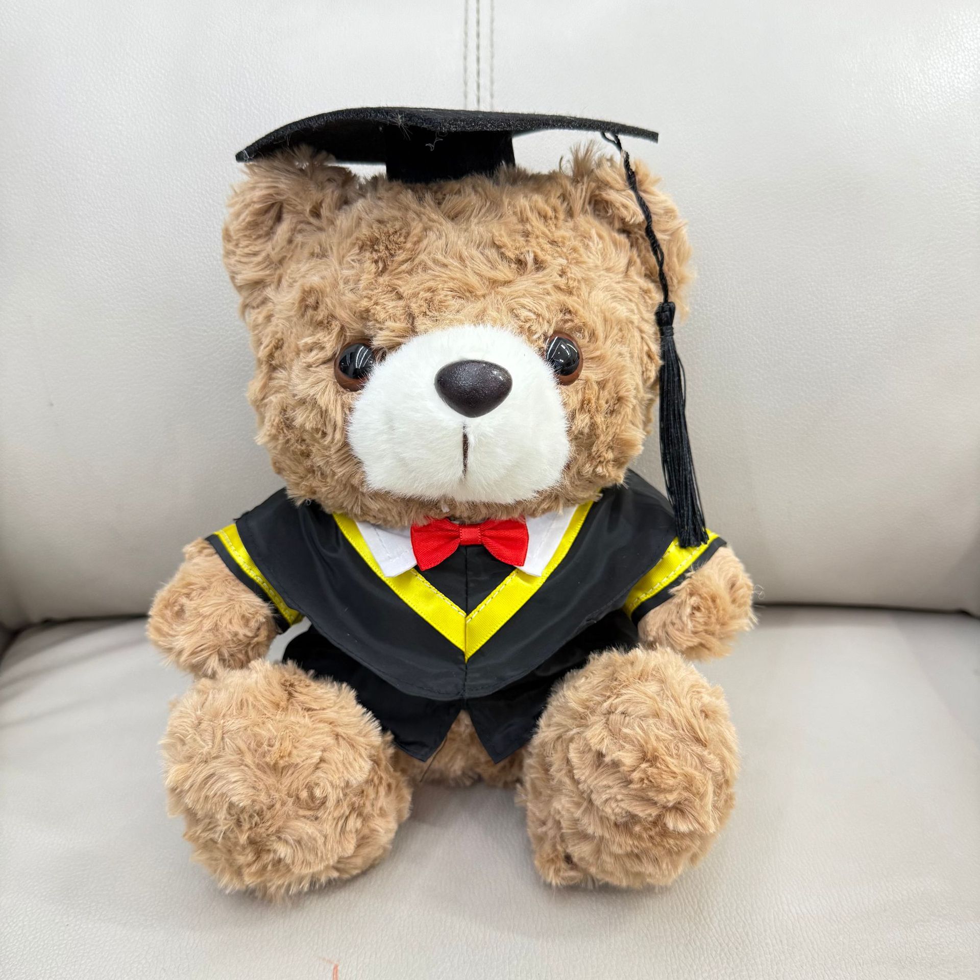 Graduación Teddy Bear Puppy Doctor Teddy Bear School Print logotipo regalo de graduación