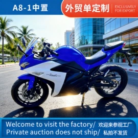 其他电动车;其他摩托车;两轮摩托车