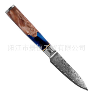 Damascus Kitchen Knife Western Chef's Knife Meat Cleaver Small Kitchen Knife Resin Handle Kitchen Knife Fruit Knife