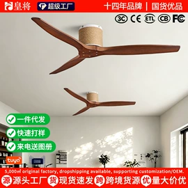 风扇灯;电风扇;吊扇