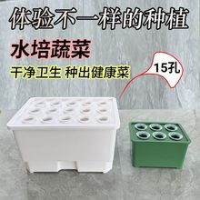 水培种植专用箱家庭种植多样化阳光水培器皿室内无公害水培种植