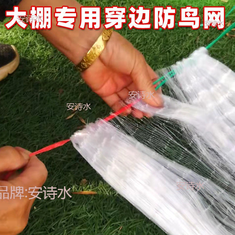 防的小鸟防鸟网尼龙大棚水果果园丝网果树纱网网防鸟谷子用网