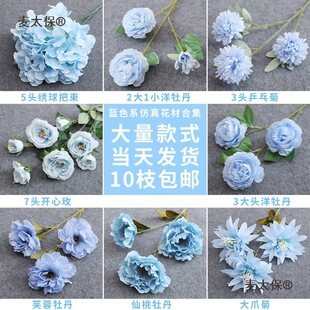 �{ɫ��c����피ٻ���Y�����b�·�������ٻ���ˇ���Ľ���̫��