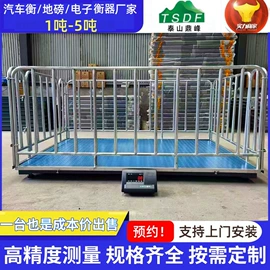 地磅;台秤;电子秤