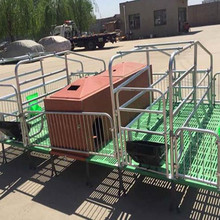 欧式母猪产床猪栏2.2*3.6尺寸双位猪床