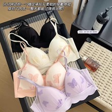 ԭ���������Ů�̶����o���ٽz����2025�¿�o�Ȧ���ؼ����ո���