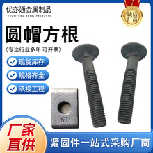 ������܉�B����˨�Añ�������ݽz�A�׷��׉|Ƭ �����H���H���|��