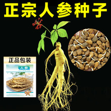 ˅NLɽҰɽNвșķNļNֲ̨ͥԺ